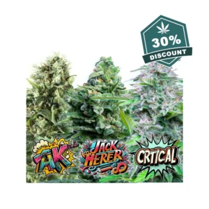 Baba Seeds Auto Bundle-webp - Hanf Discount Baba Seeds Auto Bundle.webp